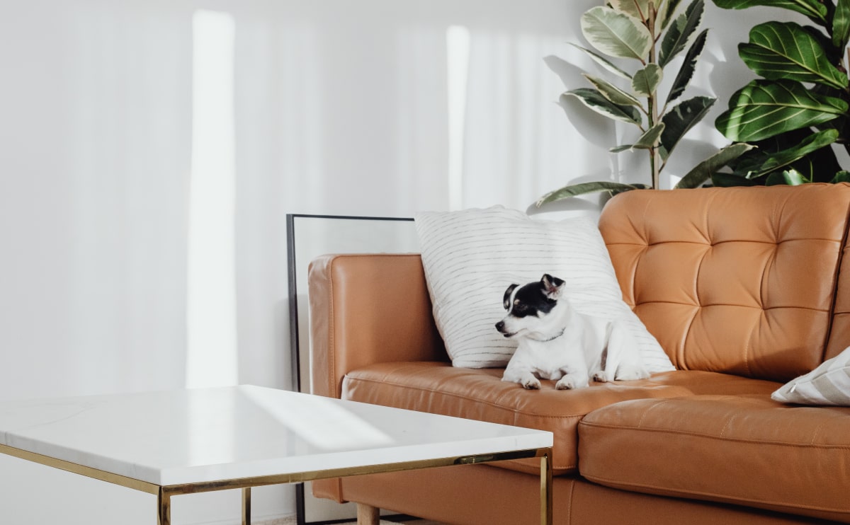 Flowing serpentines Wd Furniture Blog 5 Opt